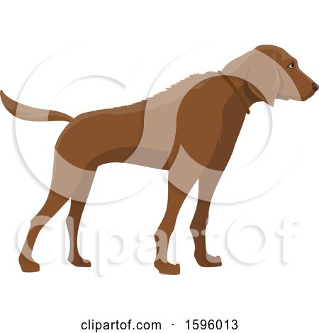 Clipart of a Hunting Dog - Royalty Free Vector Illustration by Vector Tradition SM
