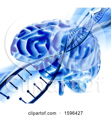 Clipart of a 3d Blue Brain and Dna Strand on White - Royalty Free Illustration by KJ Pargeter