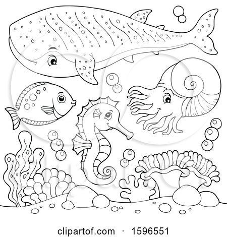 Clipart of a Lineart Sea Creatures - Royalty Free Vector Illustration ...
