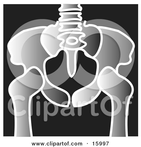 Xray of a Pelvis Clipart Illustration by Andy Nortnik