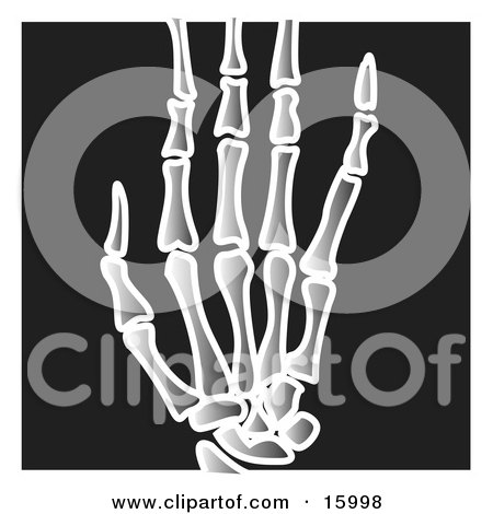 Xray of Fingers on a Hand Clipart Illustration by Andy Nortnik