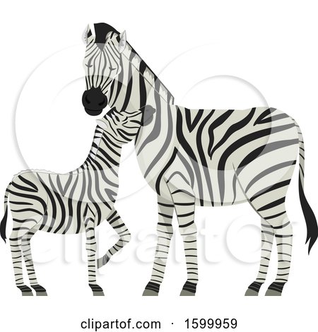 Clipart of a Mother Mare and Foal Zebra - Royalty Free Vector Illustration by BNP Design Studio