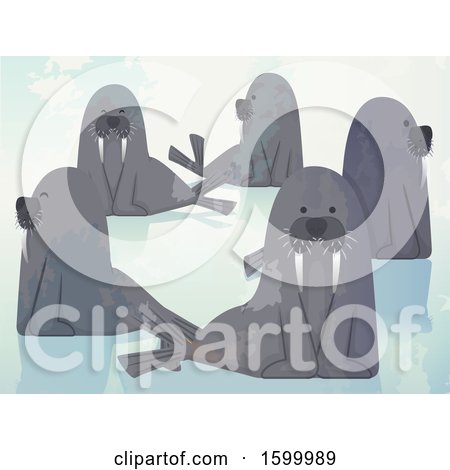 Clipart of a Group or Herd of Walrus - Royalty Free Vector Illustration by BNP Design Studio
