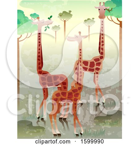 Clipart of a Group or Herd of Giraffes - Royalty Free Vector Illustration by BNP Design Studio