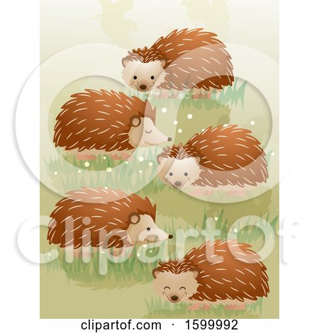 Clipart of a Group or Array of Hedgehogs - Royalty Free Vector Illustration by BNP Design Studio
