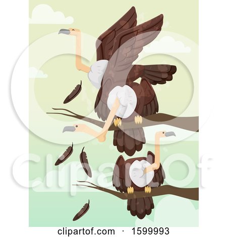 Clipart of a Group or Committee of Vultures - Royalty Free Vector Illustration by BNP Design Studio