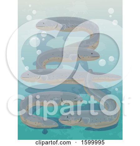 Clipart of a Group or Swarm of Eels - Royalty Free Vector Illustration by BNP Design Studio