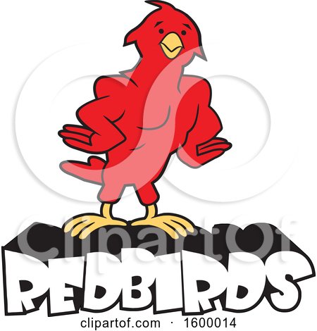 Clipart of a Muscular Bird School Mascot over Redbirds Text - Royalty Free Vector Illustration by Johnny Sajem
