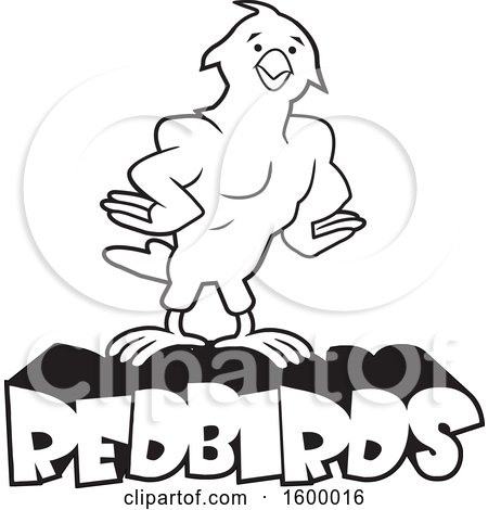 Clipart of a Black and White Muscular Bird School Mascot over Redbirds Text - Royalty Free Vector Illustration by Johnny Sajem