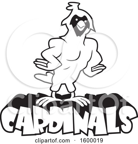 Clipart of a Black and White Muscular Cardinal Bird School Mascot over Text - Royalty Free Vector Illustration by Johnny Sajem