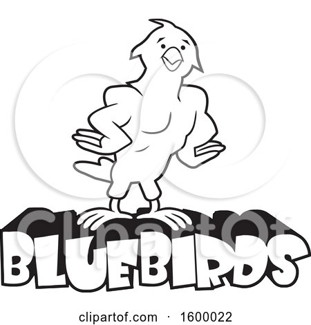 Clipart of a Black and White Muscular Bird School Mascot over Bluebirds Text - Royalty Free Vector Illustration by Johnny Sajem
