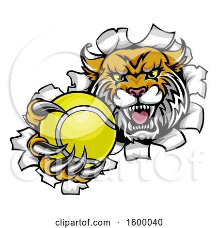 Clipart of a Vicious Wildcat Mascot Breaking Through a Wall with a Tennis Ball - Royalty Free Vector Illustration by AtStockIllustration