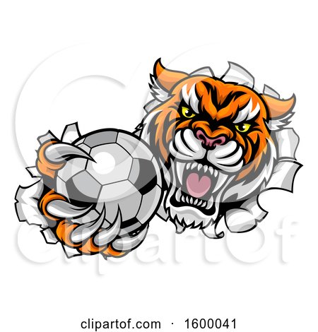 Clipart of a Vicious Tiger Mascot Breaking Through a Wall with a Soccer Ball - Royalty Free Vector Illustration by AtStockIllustration