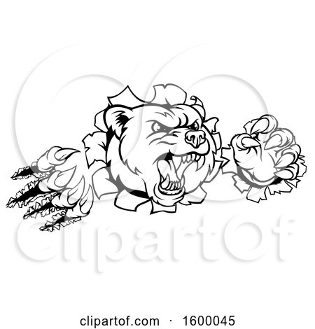 Clipart of a Black and White Mad Grizzly Bear Mascot Breaking Through a Wall - Royalty Free Vector Illustration by AtStockIllustration