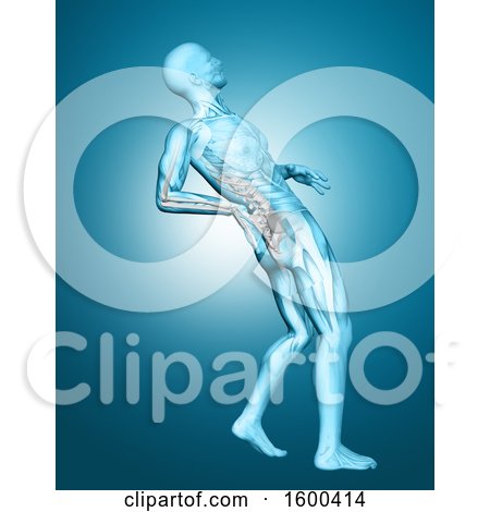 Clipart of a 3d Medical Male Figure Holding His Back in Pain, with Visible Skeleton over Blue - Royalty Free Illustration by KJ Pargeter