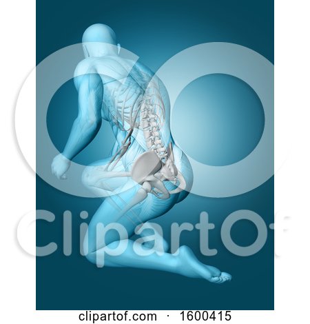 Clipart of a 3d Anatomical Man Kneeling on the Floor, with Visible Skeleton, on Blue - Royalty Free Illustration by KJ Pargeter