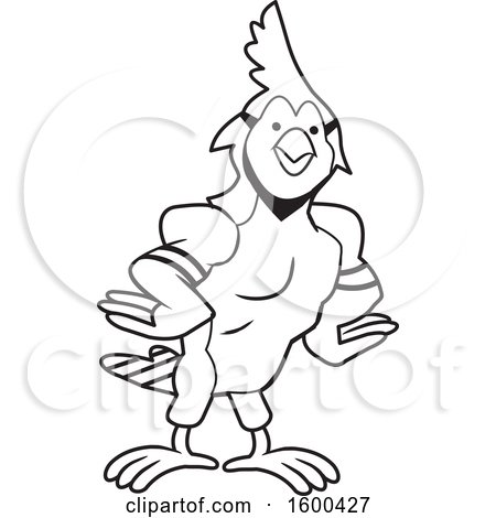 Clipart of a Black and White Muscular Blue Jays Bird School Mascot - Royalty Free Vector Illustration by Johnny Sajem