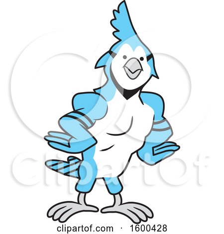 Clipart of a Muscular Blue Jays Bird School Mascot - Royalty Free Vector Illustration by Johnny Sajem