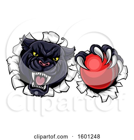 Clipart of a Black Panther Mascot Breaking Through a Wall with a Cricket Ball - Royalty Free Vector Illustration by AtStockIllustration