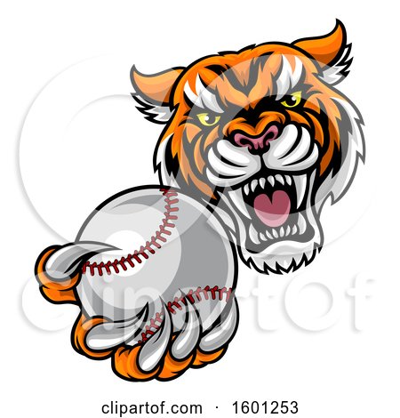 Clipart of a Vicious Tiger Sports Mascot Grabbing a Baseball - Royalty Free Vector Illustration by AtStockIllustration