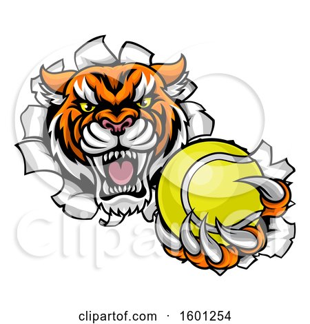 Clipart of a Vicious Tiger Mascot Breaking Through a Wall with a Tennis Ball - Royalty Free Vector Illustration by AtStockIllustration