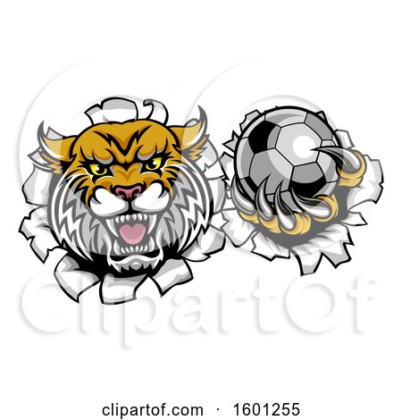 Clipart of a Vicious Wildcat Mascot Breaking Through a Wall with a Soccer Ball - Royalty Free Vector Illustration by AtStockIllustration