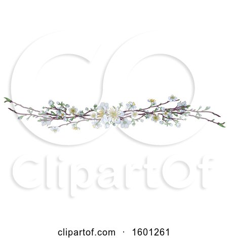 Clipart of a Border of White Spring Blossoms - Royalty Free Vector Illustration by AtStockIllustration
