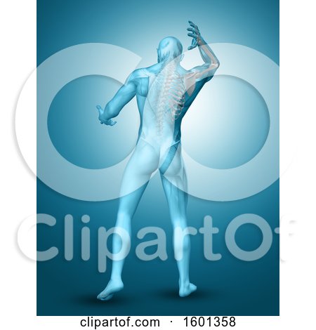 Clipart of a 3d Anatomical Man with Visible Shoulder and Spine Bones, on Blue - Royalty Free Illustration by KJ Pargeter