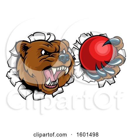 Clipart of a Bear Sports Mascot Breaking Through a Wall with a Cricket Ball in a Paw - Royalty Free Vector Illustration by AtStockIllustration