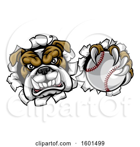 Clipart of a Tough Bulldog Monster Sports Mascot Holding out a Baseball in One Clawed Paw and Breaking Through a Wall - Royalty Free Vector Illustration by AtStockIllustration