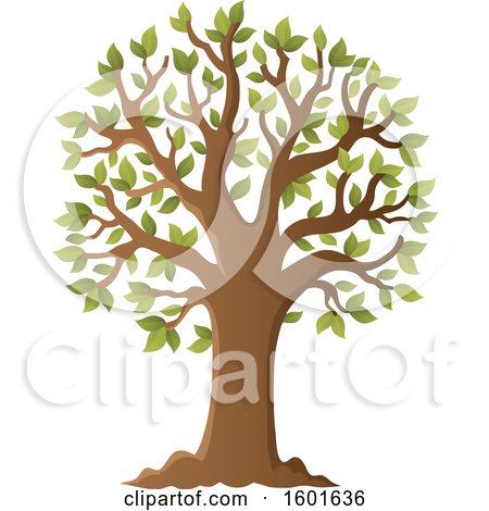 Clipart of a Tree with Green Spring Leaves - Royalty Free Vector Illustration by visekart