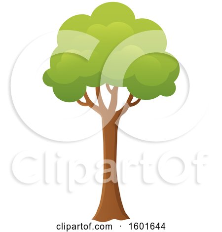Clipart of a Tree with a Green Canopy - Royalty Free Vector Illustration by visekart