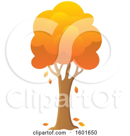 Clipart of a Tree with an Orange Autumn Canopy - Royalty Free Vector Illustration by visekart