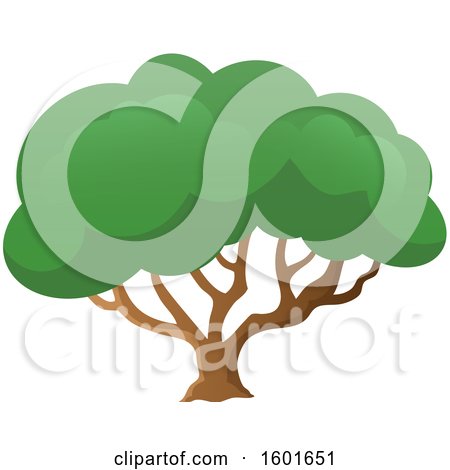 Clipart of a Tree with a Green Canopy - Royalty Free Vector Illustration by visekart