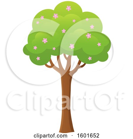 Clipart of a Blossoming Spring Tree - Royalty Free Vector Illustration by visekart
