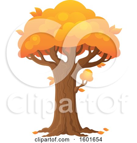 Clipart of a Tree with an Orange Autumn Canopy - Royalty Free Vector Illustration by visekart