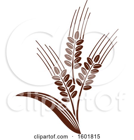 Clipart of a Brown Wheat Design - Royalty Free Vector Illustration by Vector Tradition SM