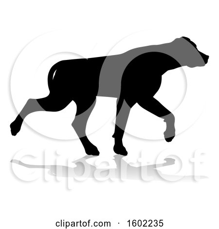 Clipart of a Silhouetted Labrador Dog, with a Reflection or Shadow, on a White Background - Royalty Free Vector Illustration by AtStockIllustration