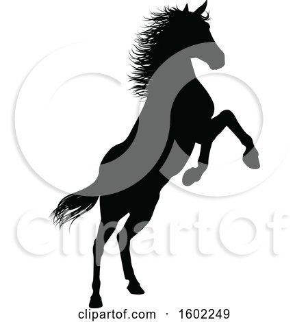 Clipart of a Black Silhouetted Horse Rearing - Royalty Free Vector Illustration by AtStockIllustration