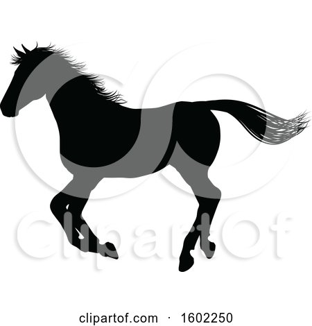Clipart of a Black Silhouetted Horse - Royalty Free Vector Illustration by AtStockIllustration