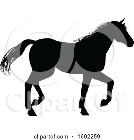 Clipart of a Black Silhouetted Horse - Royalty Free Vector Illustration by AtStockIllustration
