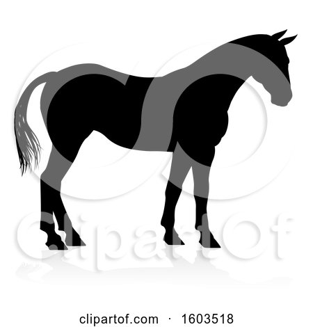 Clipart of a Silhouetted Horse, with a Reflection or Shadow, on a White Background - Royalty Free Vector Illustration by AtStockIllustration