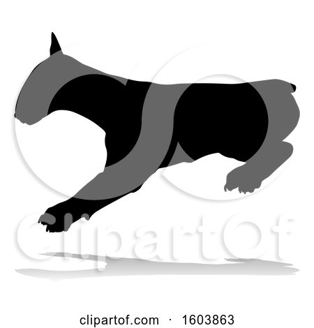 Clipart of a Silhouetted Bull Terrier Dog, with a Reflection or Shadow, on a White Background - Royalty Free Vector Illustration by AtStockIllustration