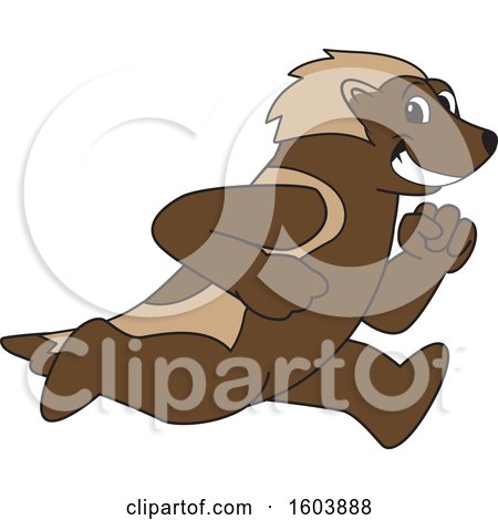 Clipart of a Wolverine School Mascot Character Running - Royalty Free Vector Illustration by Mascot Junction