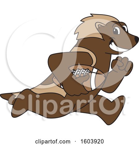 Clipart of a Wolverine School Mascot Character Running with a Football - Royalty Free Vector Illustration by Mascot Junction