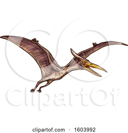 Clipart of a Sketched Pterodactyl Dinosaur - Royalty Free Vector Illustration by Vector Tradition SM