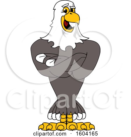 Clipart of a Bald Eagle School Mascot Character with Folded Arms - Royalty Free Vector Illustration by Mascot Junction