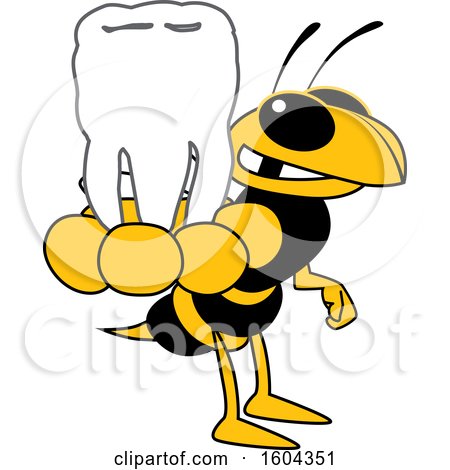 Clipart of a Hornet or Yellow Jacket School Mascot Character Holding a Tooth - Royalty Free Vector Illustration by Toons4Biz