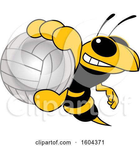 Clipart of a Hornet or Yellow Jacket School Mascot Character Grabbing a Volleyball - Royalty Free Vector Illustration by Mascot Junction