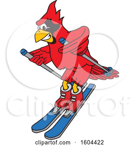 Clipart of a Red Cardinal Bird School Mascot Character Skiing - Royalty Free Vector Illustration by Mascot Junction